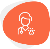 Pet Care pet adoption img1.png