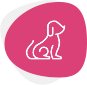 Pet Care pet adoption img3.png
