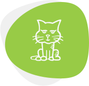 Pet Care pet adoption img4.png